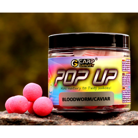 Kulka Pop Up FLUO Bloodworm/Caviar 15mm słoik 200ml